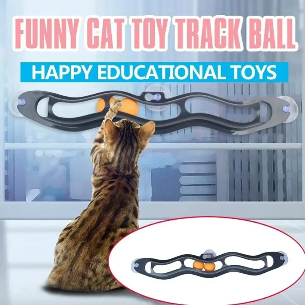 Cat Track Ball Toy