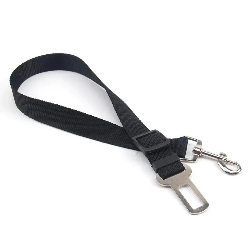 Dog Car Seat Belt