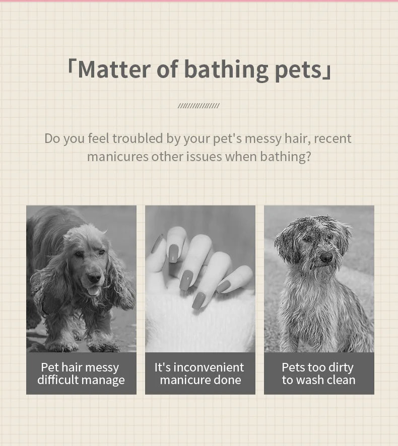 3-in-1 Pet Spray Massage Brush