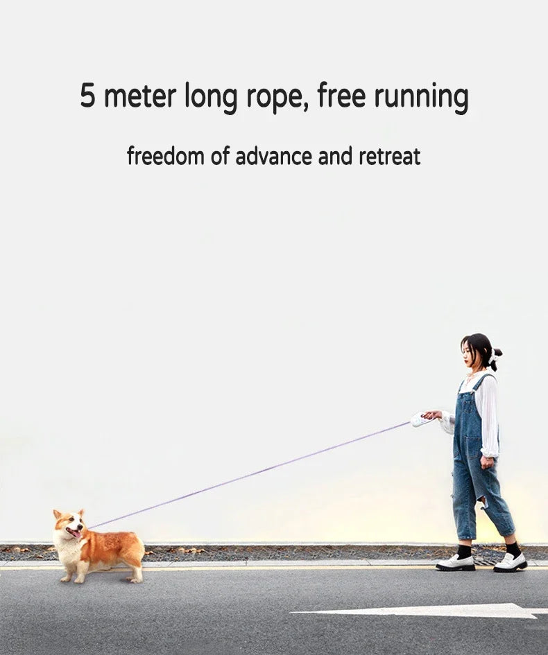 LED Retractable Dog Lead