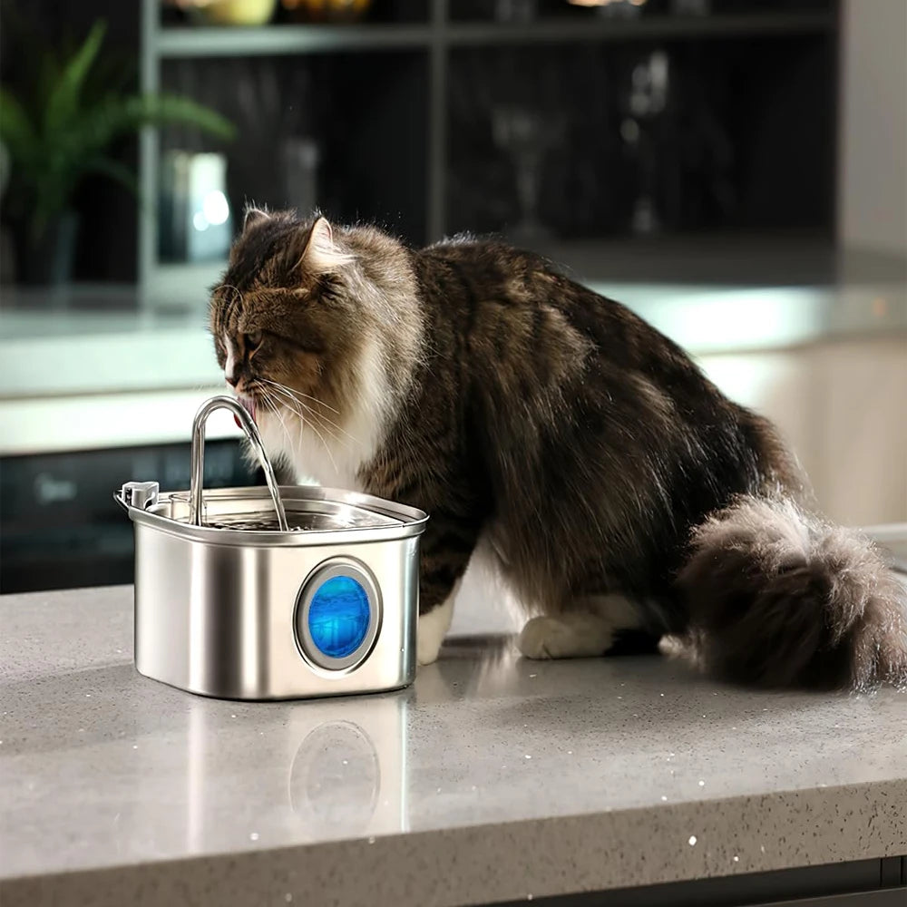3.2L Stainless Steel Pet Water Fountain