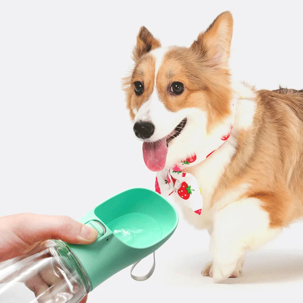 Portable Dog Water Bottle