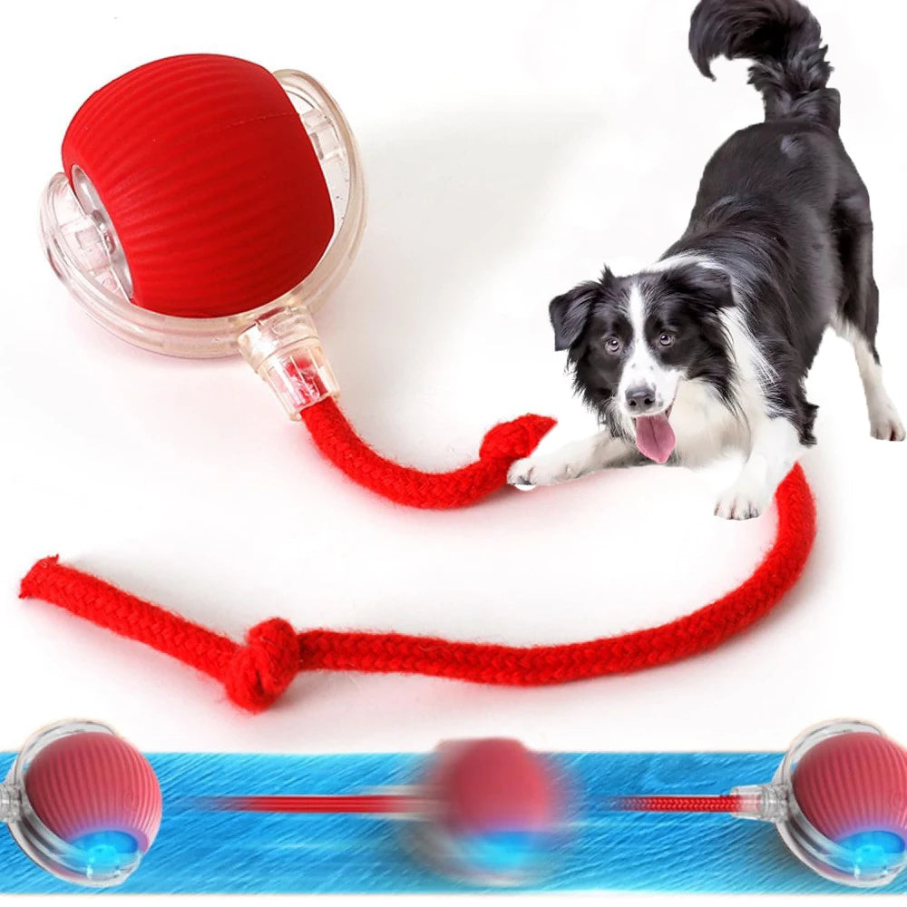 Hot Electric Automatic Rolling Dog Ball Toy