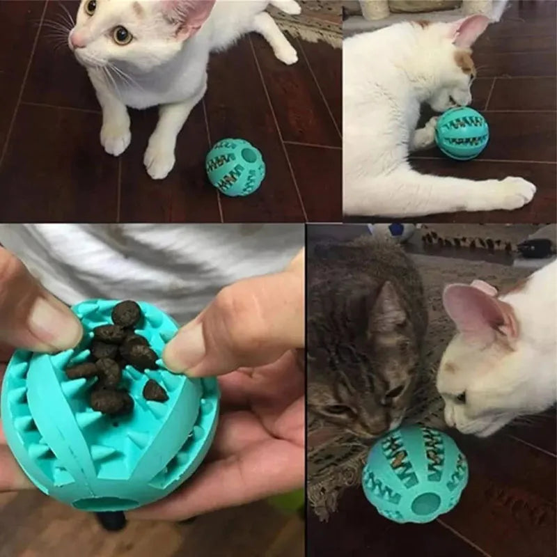Interactive Rubber Dog Toy Ball
