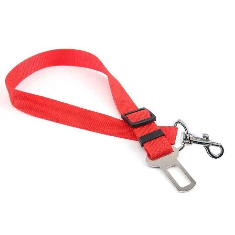 Dog Car Seat Belt