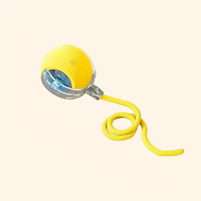Hot Electric Automatic Rolling Dog Ball Toy