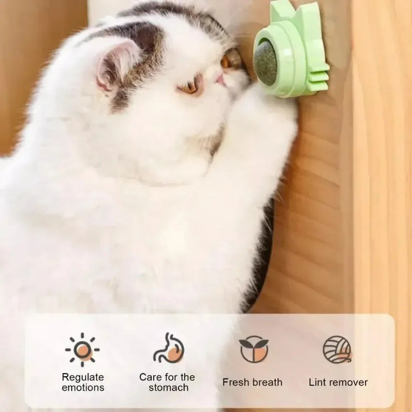 Lickable Catnip Balls