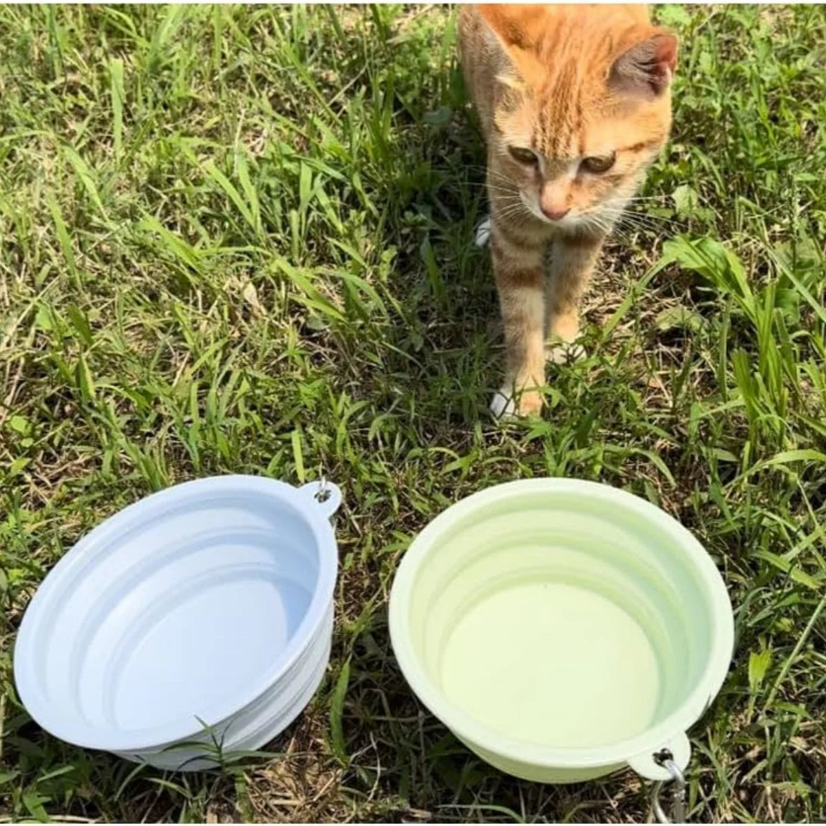 2pcs Collapsible Silicone Pet Bowls