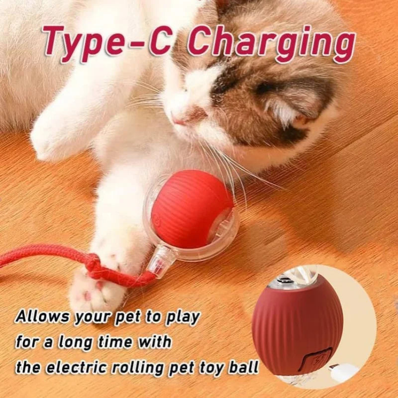 Hot Electric Automatic Rolling Dog Ball Toy
