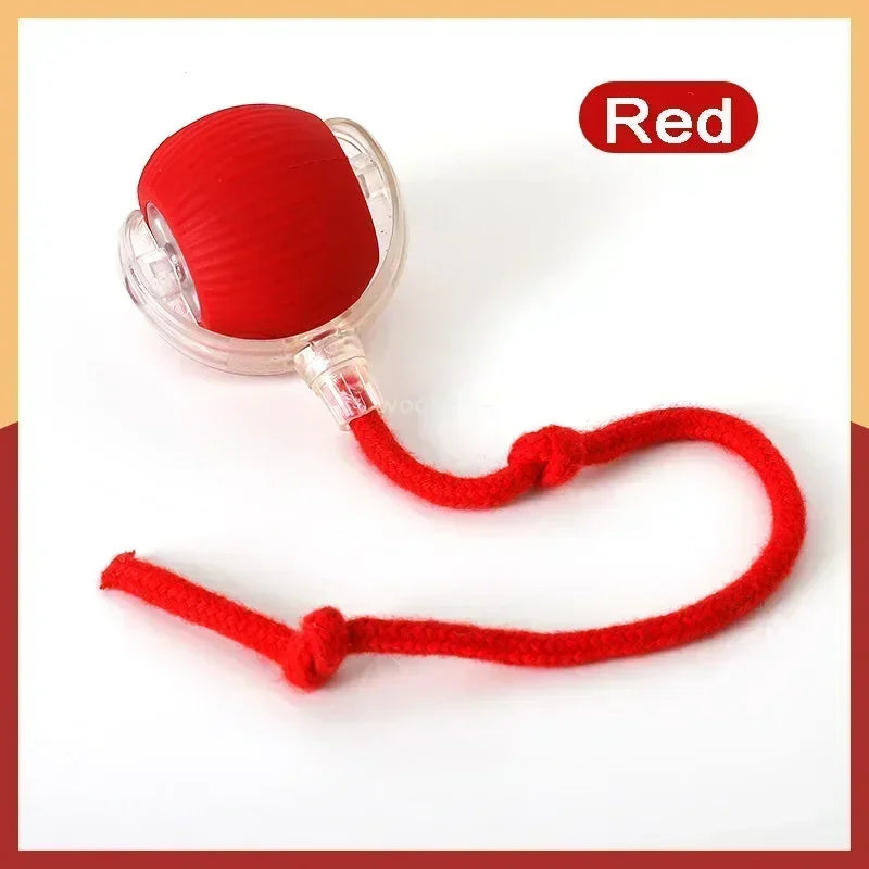 Hot Electric Automatic Rolling Dog Ball Toy