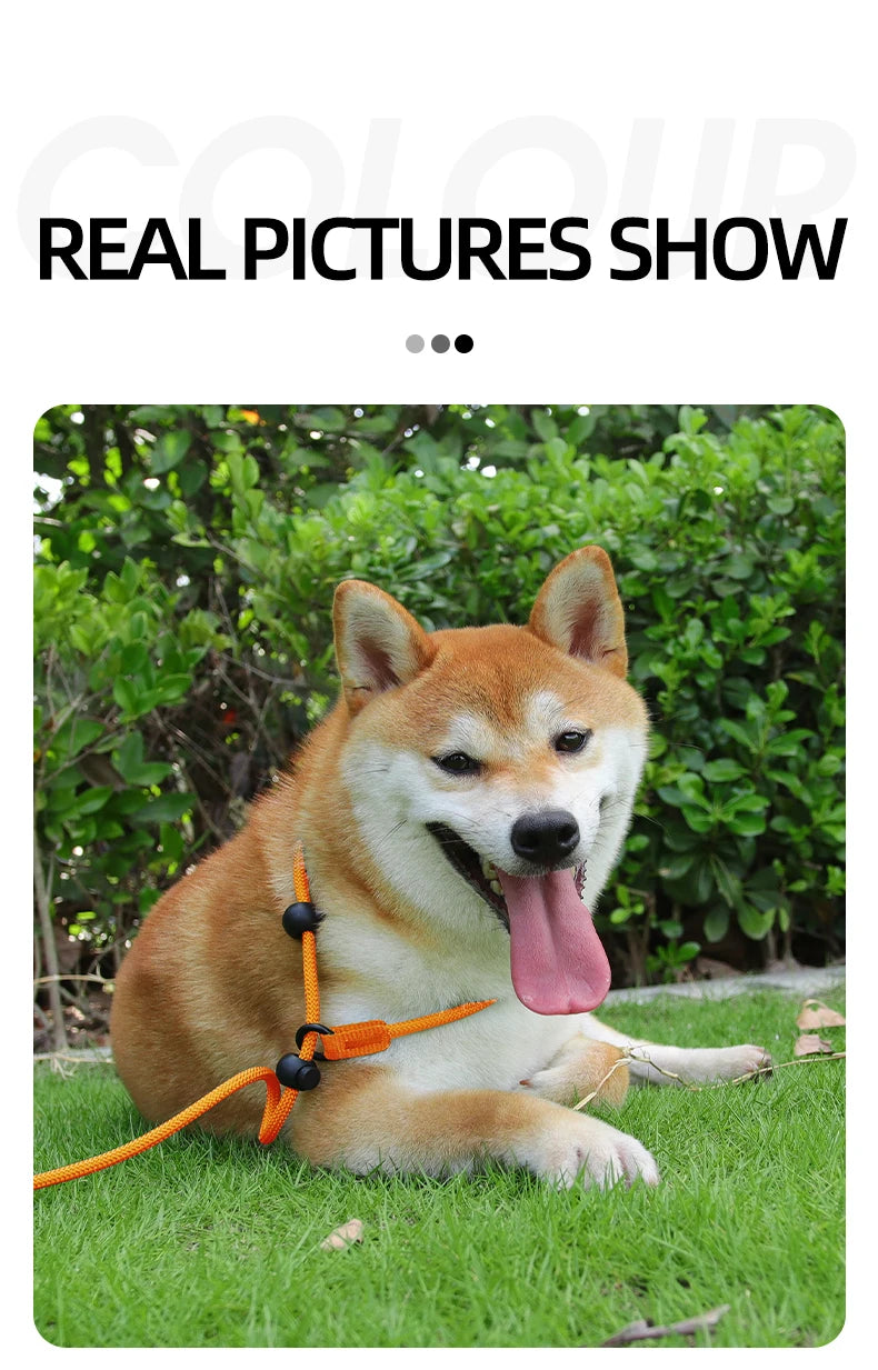 Durable Nylon Woven Pet Collar And Leash Fashion Appearance Nylon Woven Circular Chain for Walking Pet Dogs Training Equipment