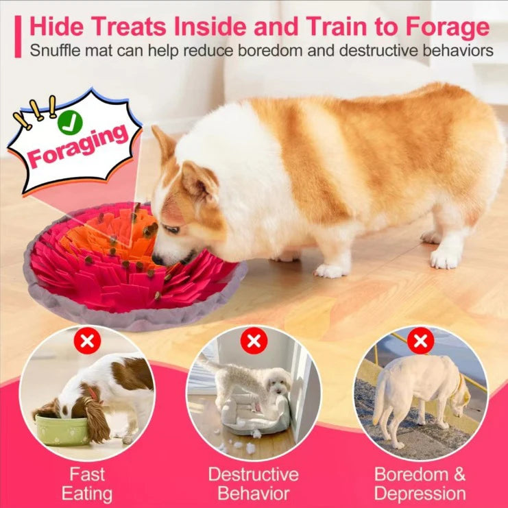 Washable Felt Sniffing Mat