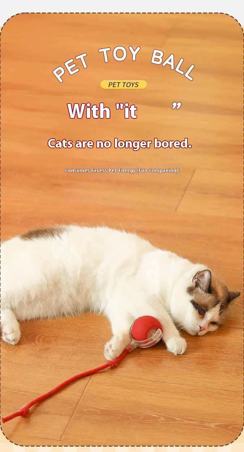 Smart Rolling Cat Ball Toy