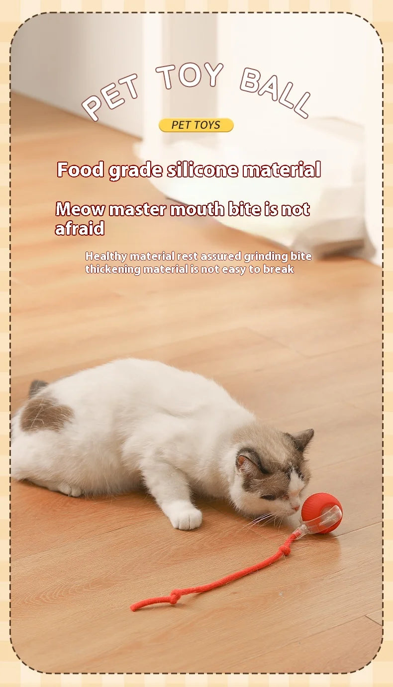 Smart Rolling Cat Ball Toy
