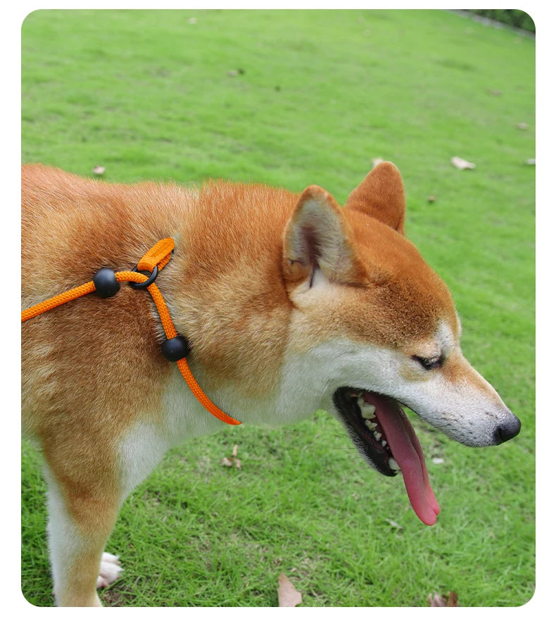 Durable Nylon Woven Pet Collar And Leash Fashion Appearance Nylon Woven Circular Chain for Walking Pet Dogs Training Equipment