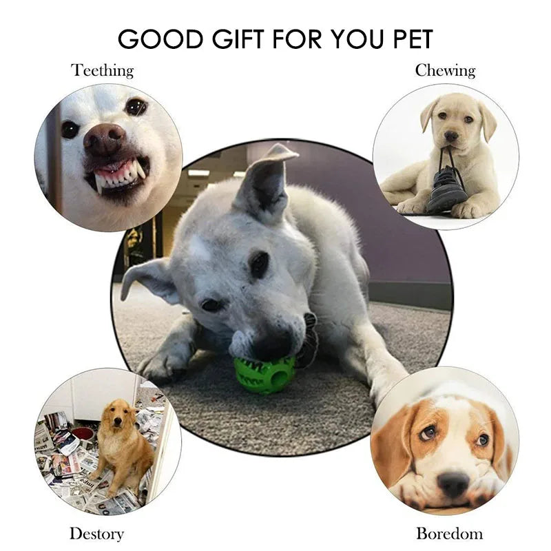 Interactive Rubber Dog Toy Ball