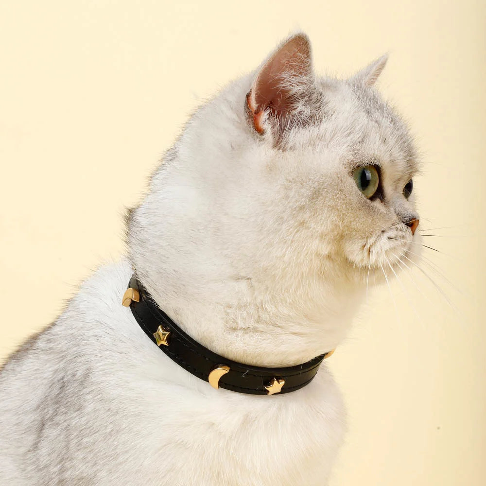 Cute Cat Collar