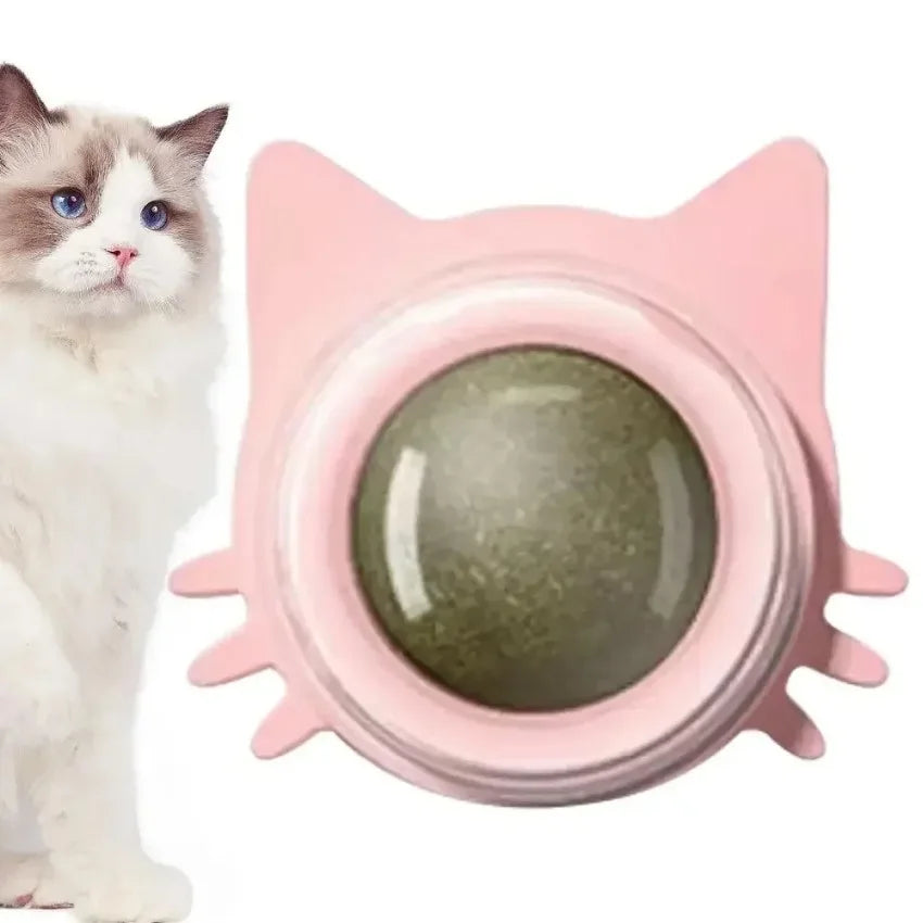 Lickable Catnip Balls