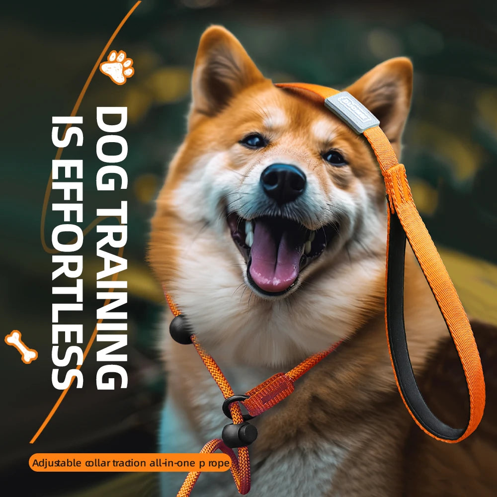 Durable Nylon Woven Pet Collar And Leash Fashion Appearance Nylon Woven Circular Chain for Walking Pet Dogs Training Equipment