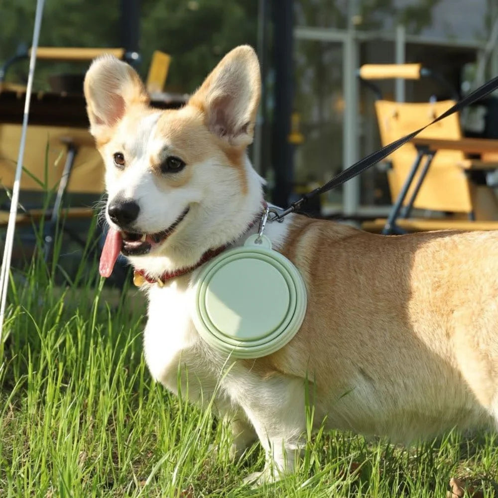 2pcs Collapsible Silicone Pet Bowls