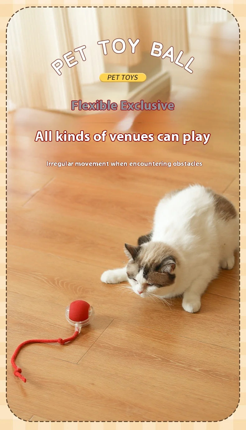 Smart Rolling Cat Ball Toy