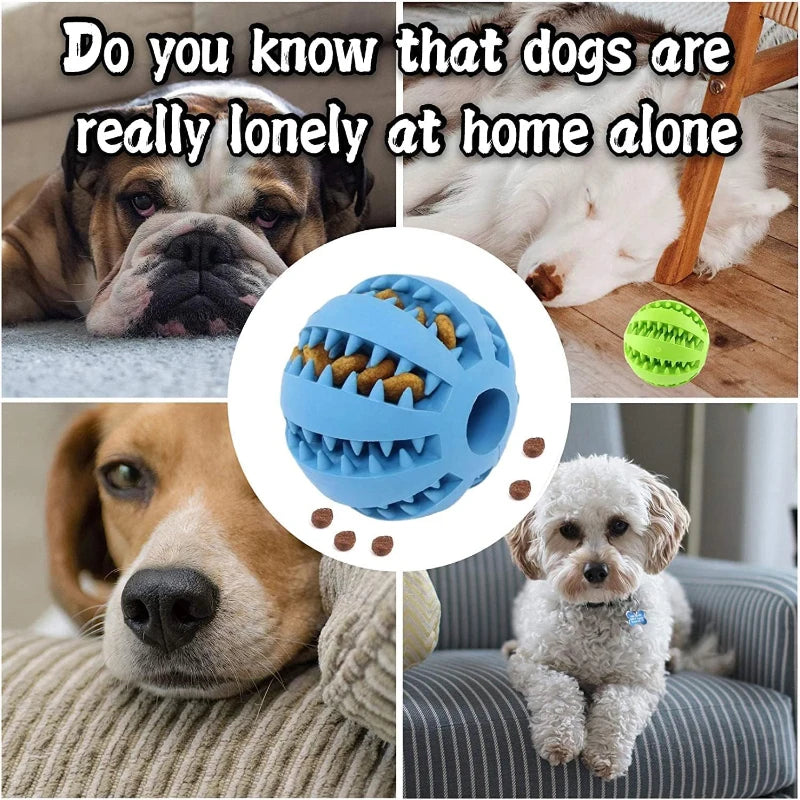 Interactive Rubber Dog Toy Ball