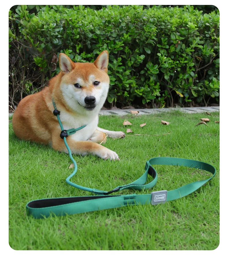 Durable Nylon Woven Pet Collar And Leash Fashion Appearance Nylon Woven Circular Chain for Walking Pet Dogs Training Equipment