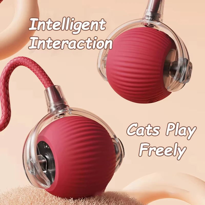 Hot Electric Automatic Rolling Dog Ball Toy