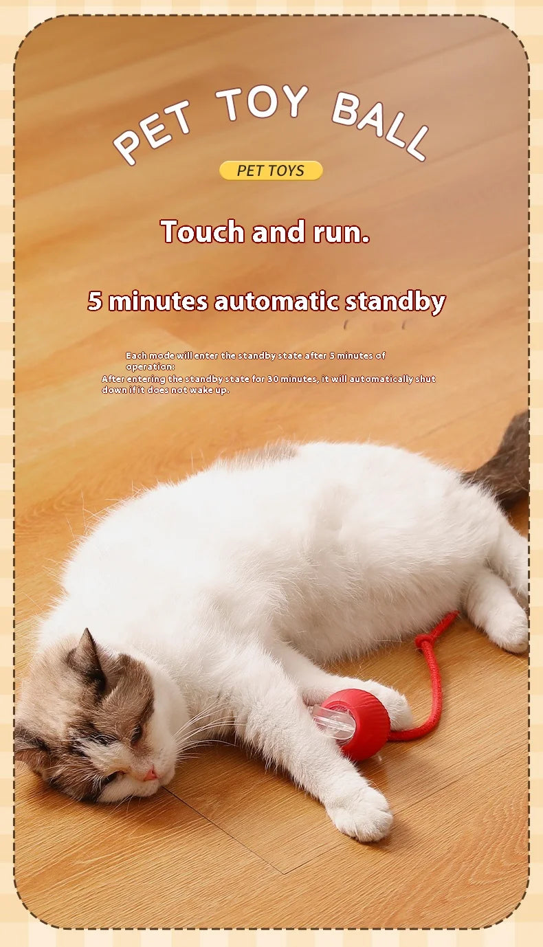 Smart Rolling Cat Ball Toy