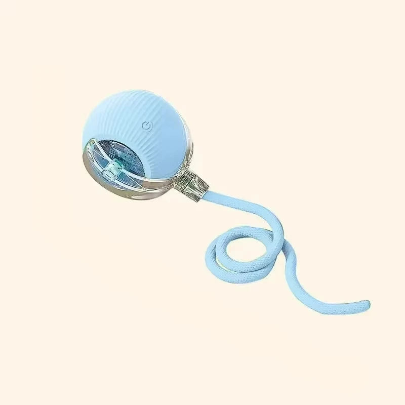 Hot Electric Automatic Rolling Dog Ball Toy