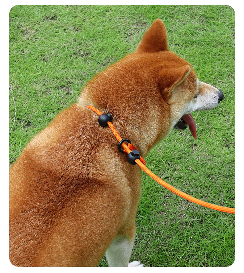Durable Nylon Woven Pet Collar And Leash Fashion Appearance Nylon Woven Circular Chain for Walking Pet Dogs Training Equipment