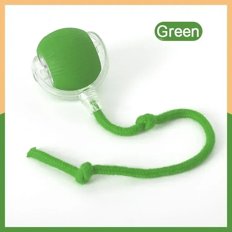 Hot Electric Automatic Rolling Dog Ball Toy