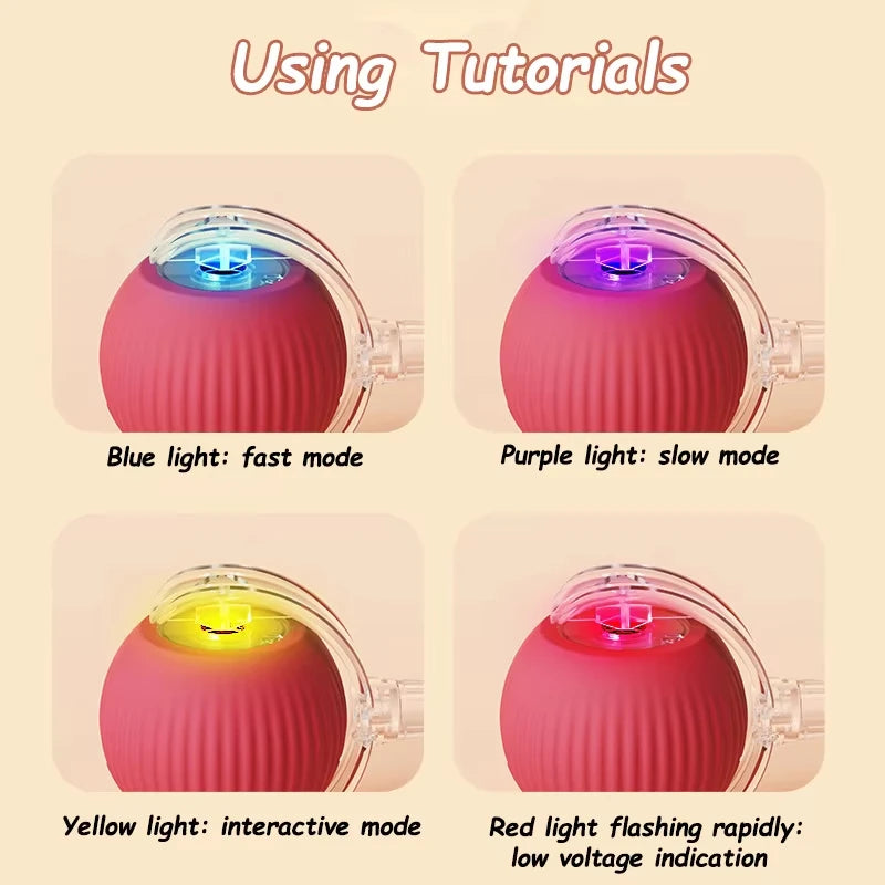 Hot Electric Automatic Rolling Dog Ball Toy