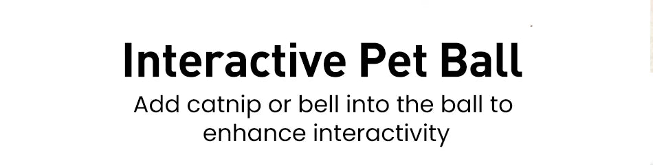 2-in-1 Smart Interactive Pet Toy