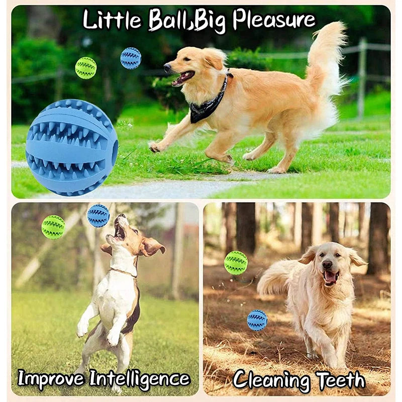 Interactive Rubber Dog Toy Ball