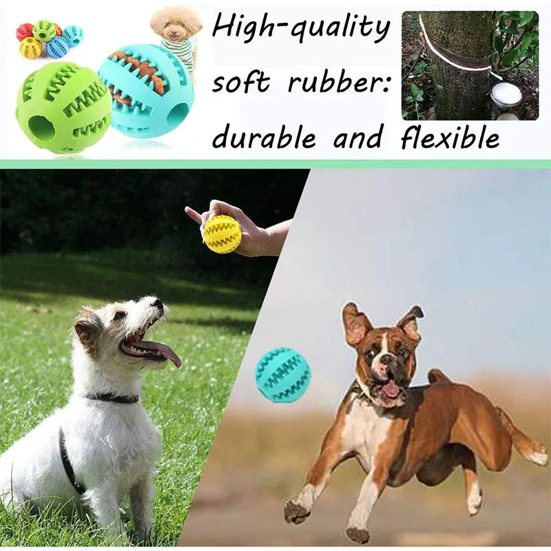 Interactive Rubber Dog Toy Ball