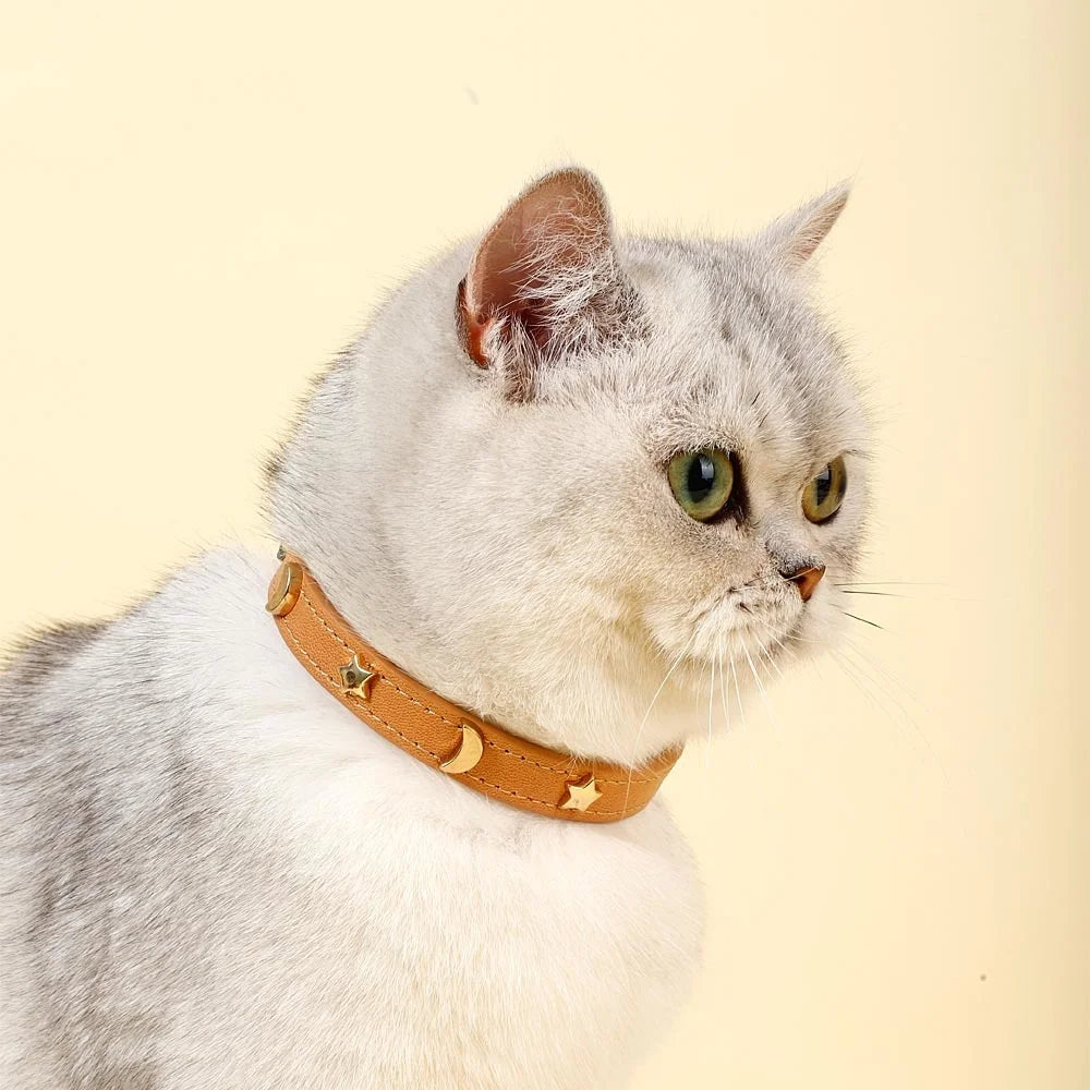 Cute Cat Collar