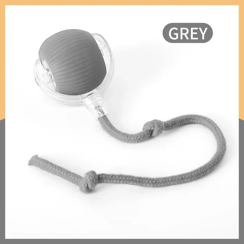 Smart Rolling Cat Ball Toy