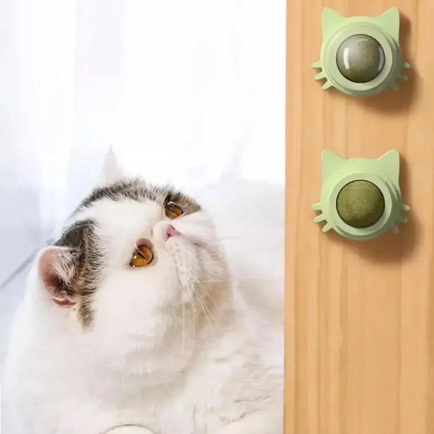 Lickable Catnip Balls