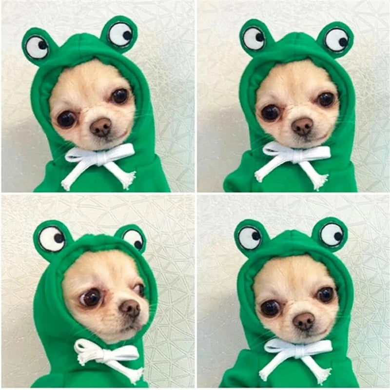 Cosy Pet Hoodie