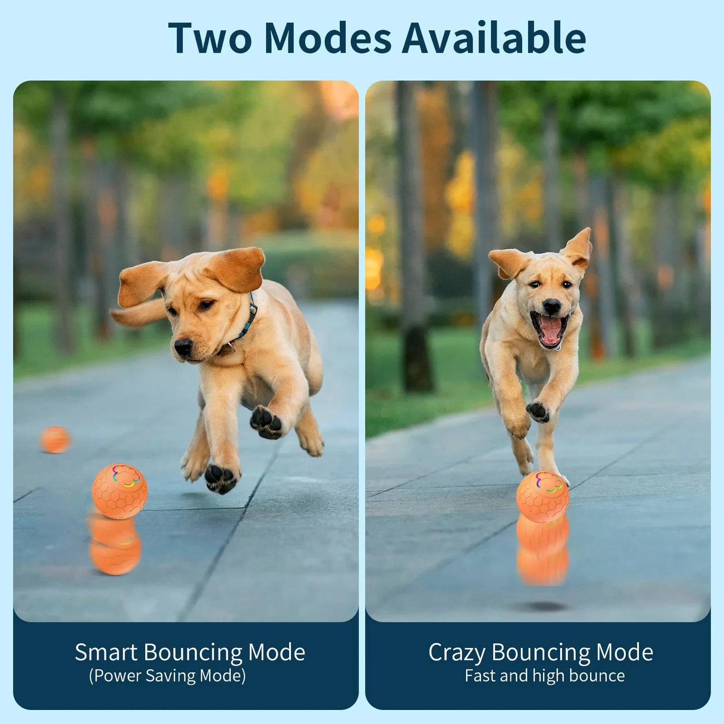 Smart Interactive Dog Toy Ball