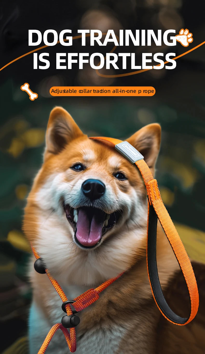Durable Nylon Woven Pet Collar And Leash Fashion Appearance Nylon Woven Circular Chain for Walking Pet Dogs Training Equipment