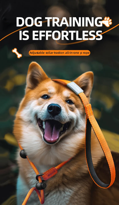 Durable Nylon Woven Pet Collar And Leash Fashion Appearance Nylon Woven Circular Chain for Walking Pet Dogs Training Equipment