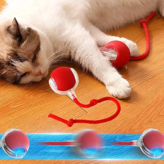 Hot Electric Automatic Rolling Dog Ball Toy