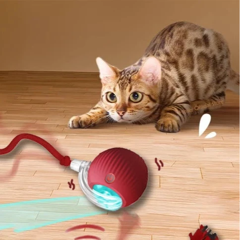 Smart Rolling Cat Ball Toy