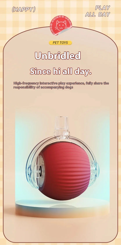 Hot Electric Automatic Rolling Dog Ball Toy