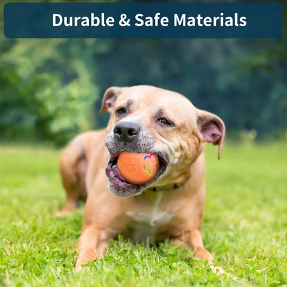 Smart Interactive Dog Toy Ball