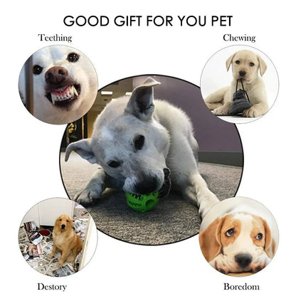 Interactive Rubber Dog Toy Ball