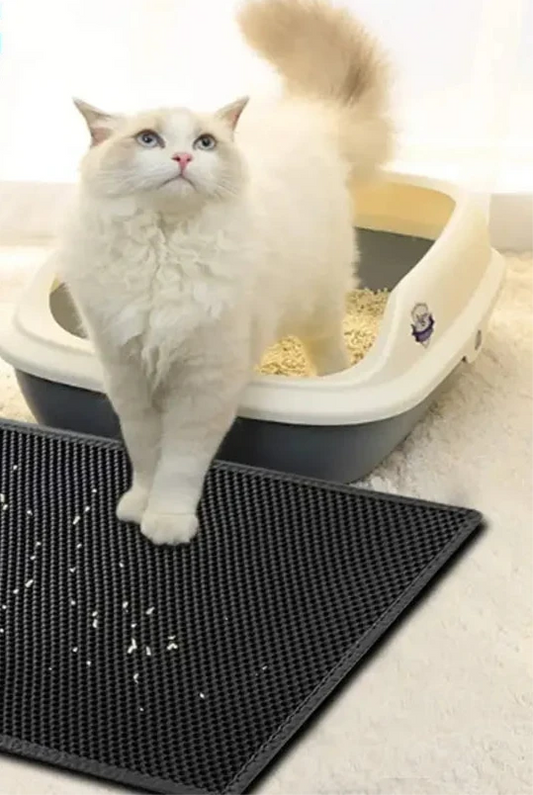 Double-Layer Waterproof Cat Litter Mat