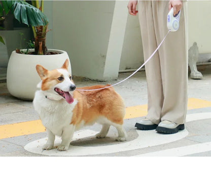 LED Retractable Dog Lead